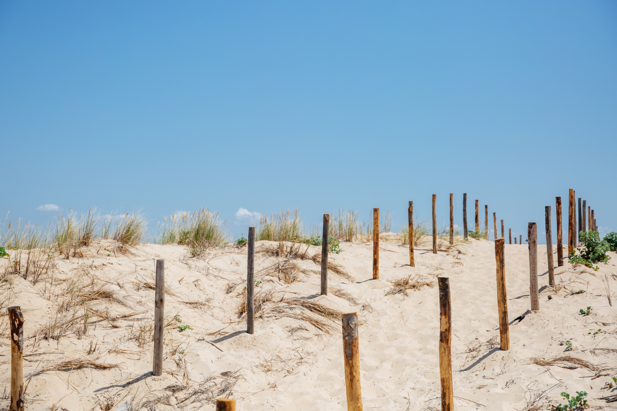 Terrasse couverte et SPA