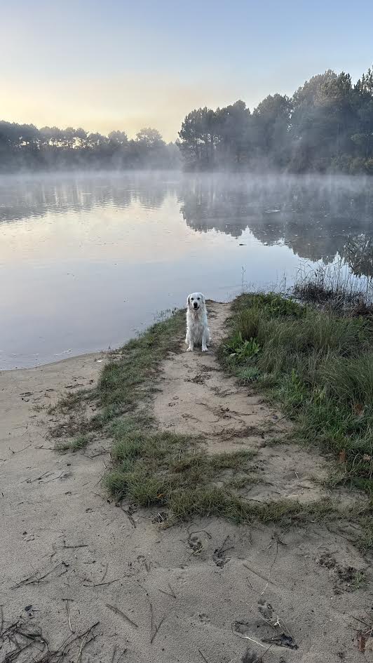 Balade en forêt près de la villa
